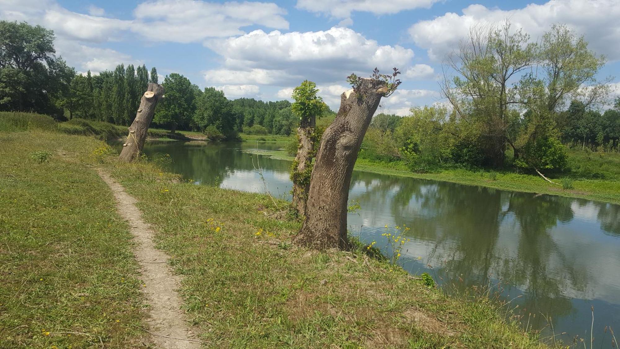 Angers Proche Apartment Briollay