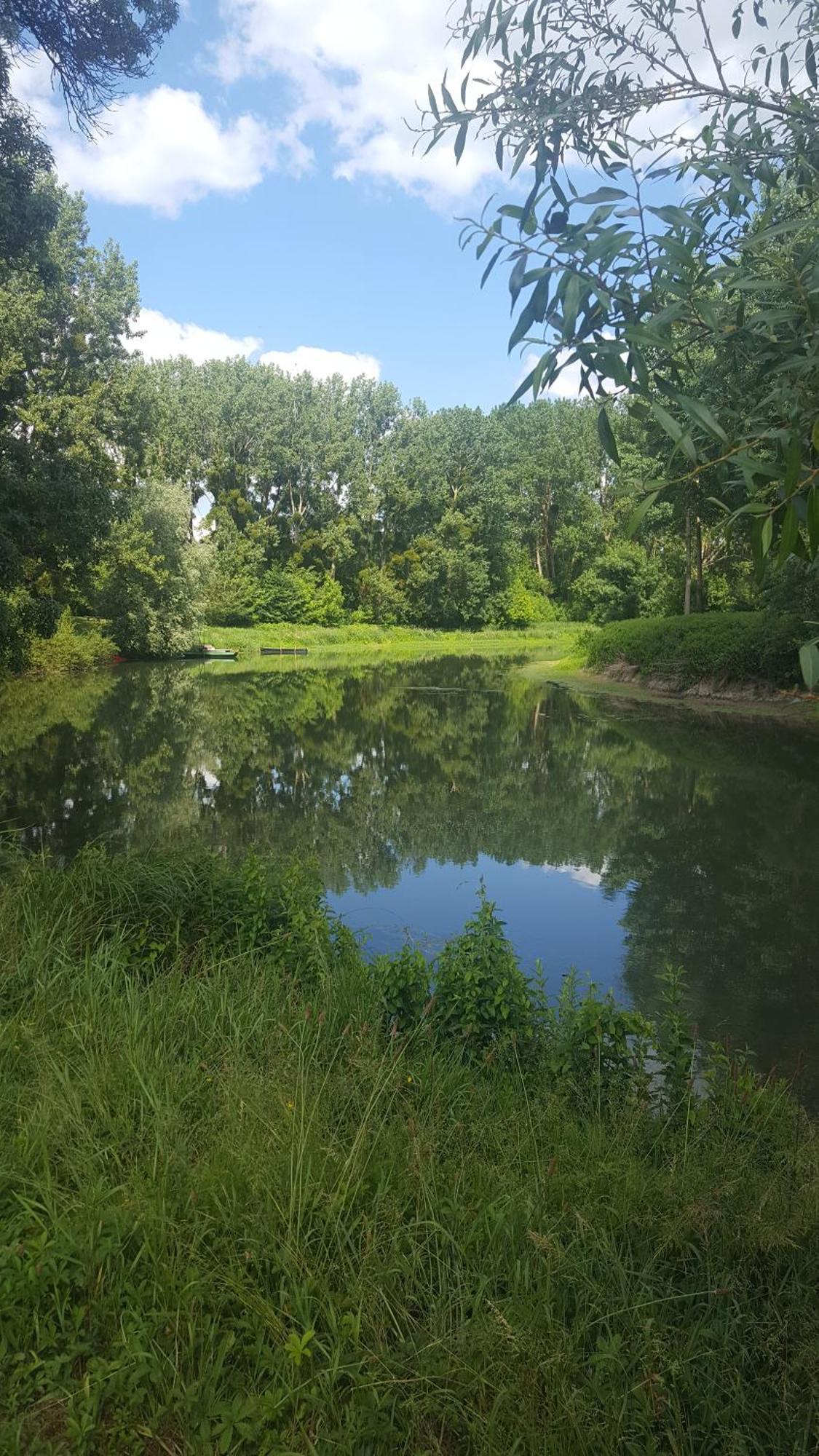 Angers Proche * Briollay